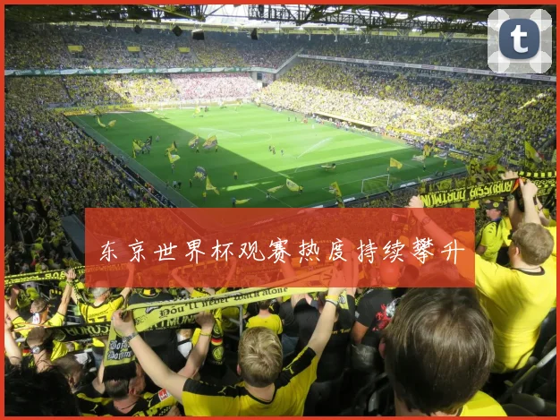 东京世界杯观赛热度持续攀升