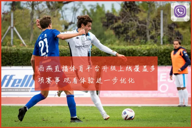 雨燕直播体育平台升级上线覆盖多项赛事 观看体验进一步优化