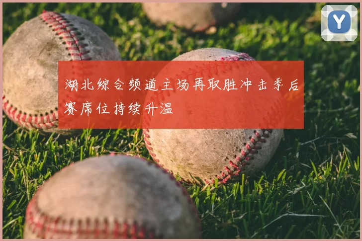 湖北综合频道主场再取胜冲击季后赛席位持续升温
